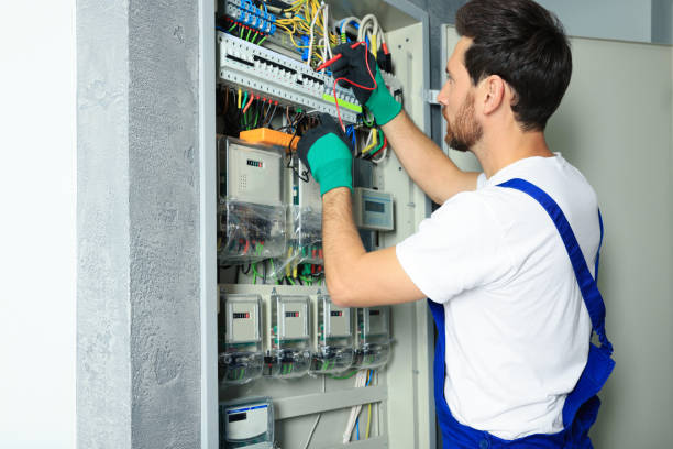 Best Electrical Repair Services  in Rushvle, IL