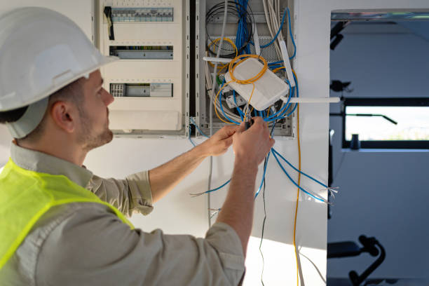 Best Generator Installation Services  in Rushvle, IL